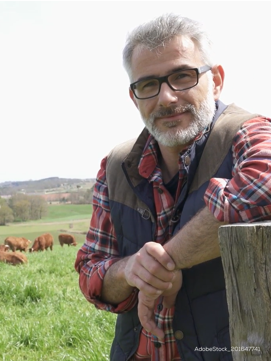 Formation Trésorerie